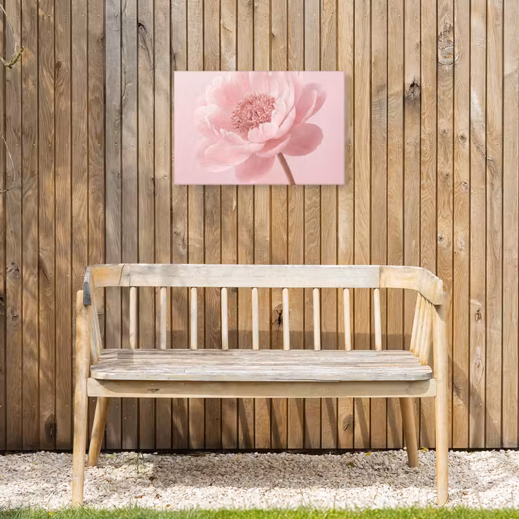 Buiten canvas - Bloem - Pioenroos - Roze — 3