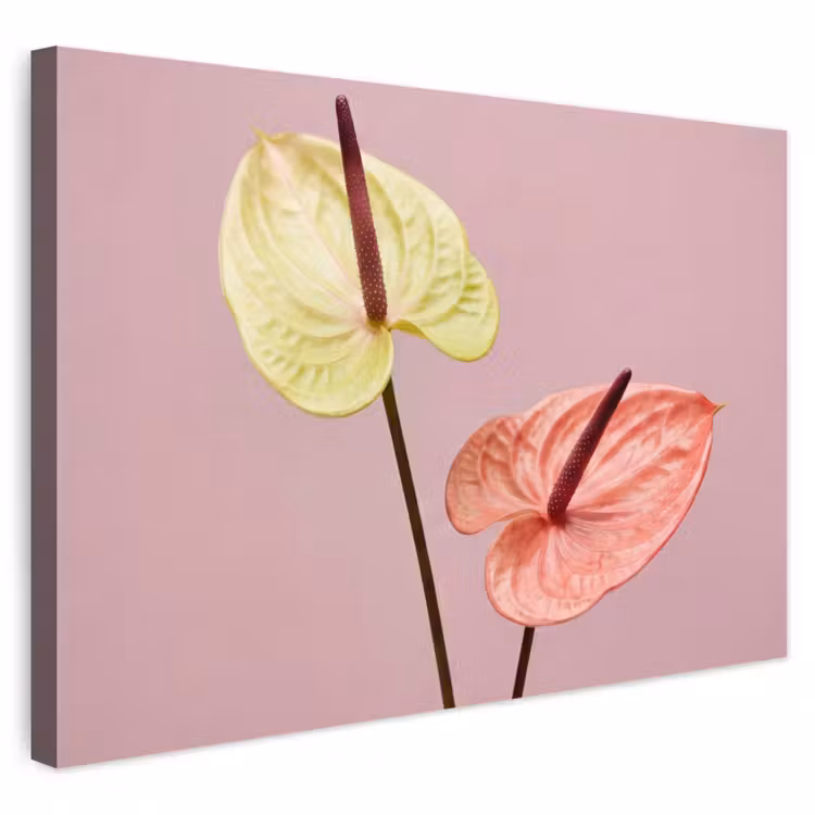 Buiten canvas - Bloemen - Anthuriums - Geel - Roze — 1