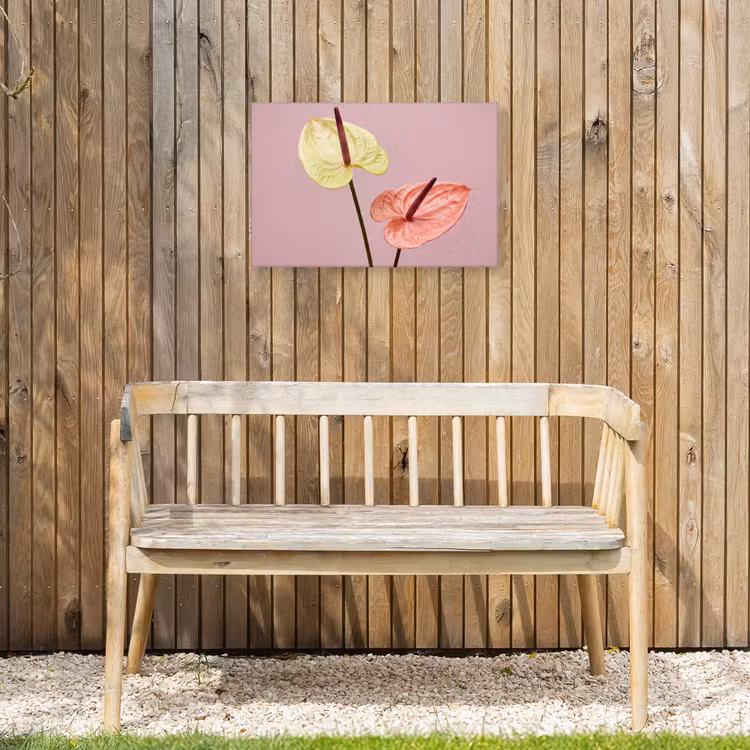 Buiten canvas - Bloemen - Anthuriums - Geel - Roze — 3