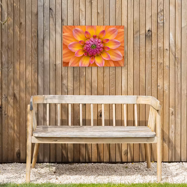 Buiten canvas - Dahlia - Bloem - Oranje — 3