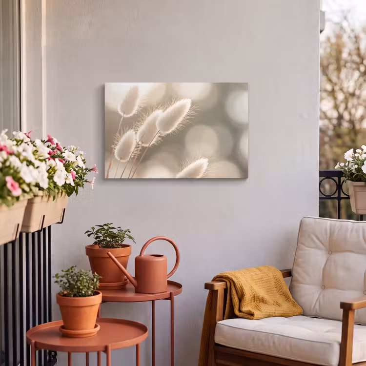 Buiten canvas - Hazestaartgras - Wit - Zonlicht — 4