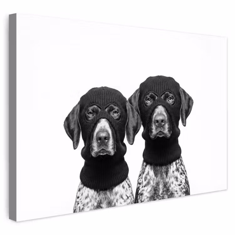 Buiten canvas - Honden - Bivakmuts - Zwart - wit — 1