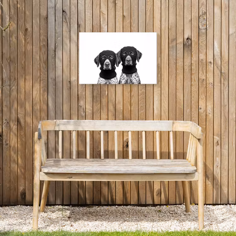 Buiten canvas - Honden - Bivakmuts - Zwart - wit — 3