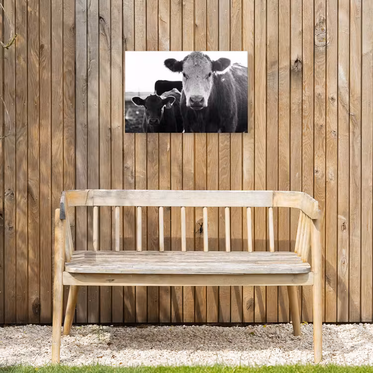 Buiten canvas - Koeien - Zwart - Wit — 3