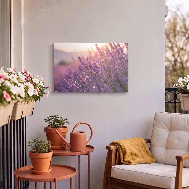Buiten canvas - Lavendel - Paars - Zonlicht — 4