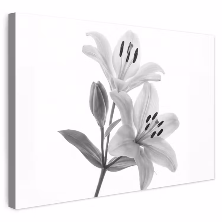 Buiten canvas - Lelies - Elegant - Zwart - Wit — 1