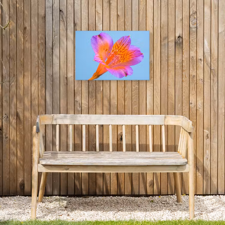 Buiten canvas - Bloem - Detail - Kleurrijk — 3