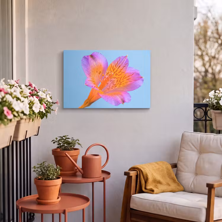 Buiten canvas - Bloem - Detail - Kleurrijk — 4