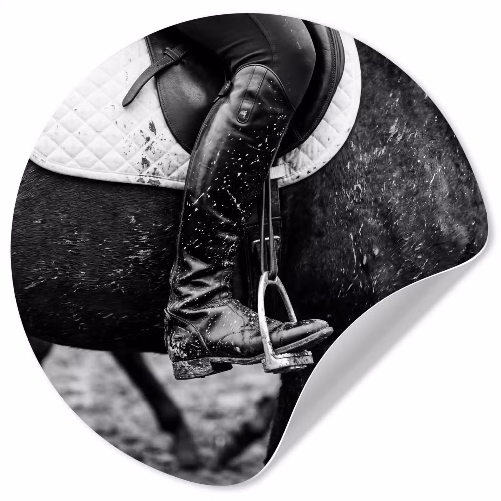 Behangcirkel - Paard - Sport - Zwart - Wit — 1