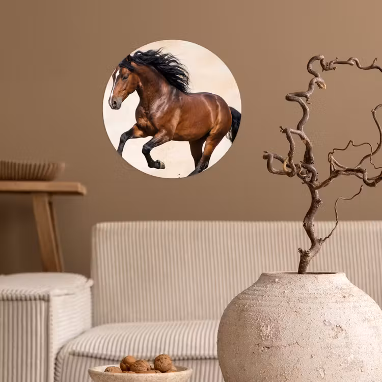 Behangcirkel - Paard - Galop - Energie — 2