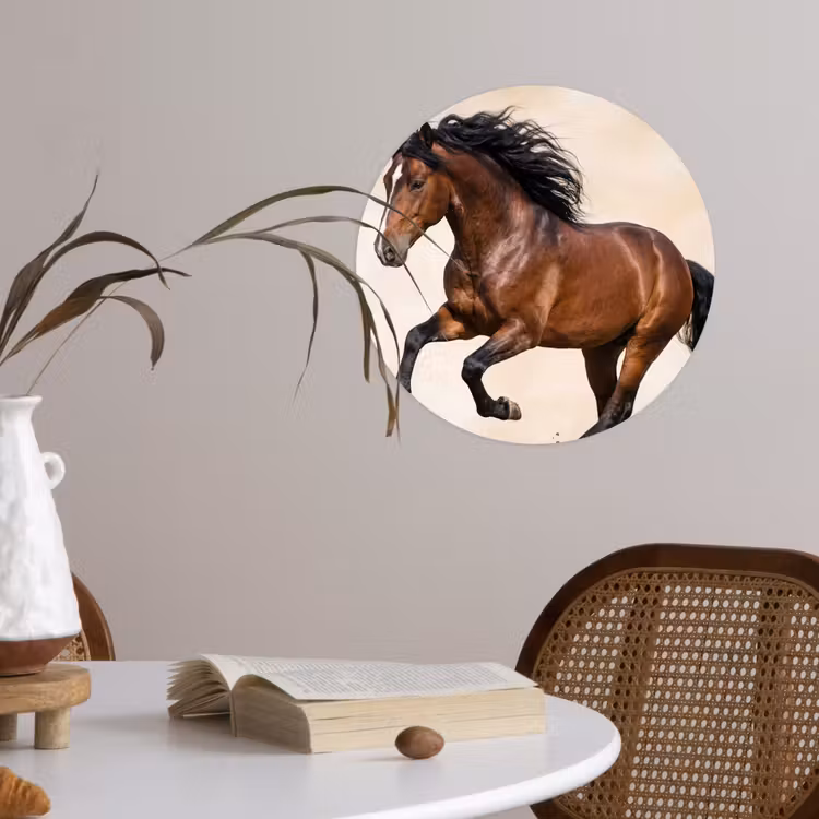 Behangcirkel - Paard - Galop - Energie — 4