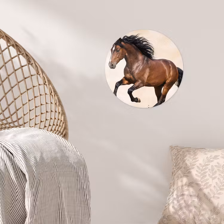 Behangcirkel - Paard - Galop - Energie — 5
