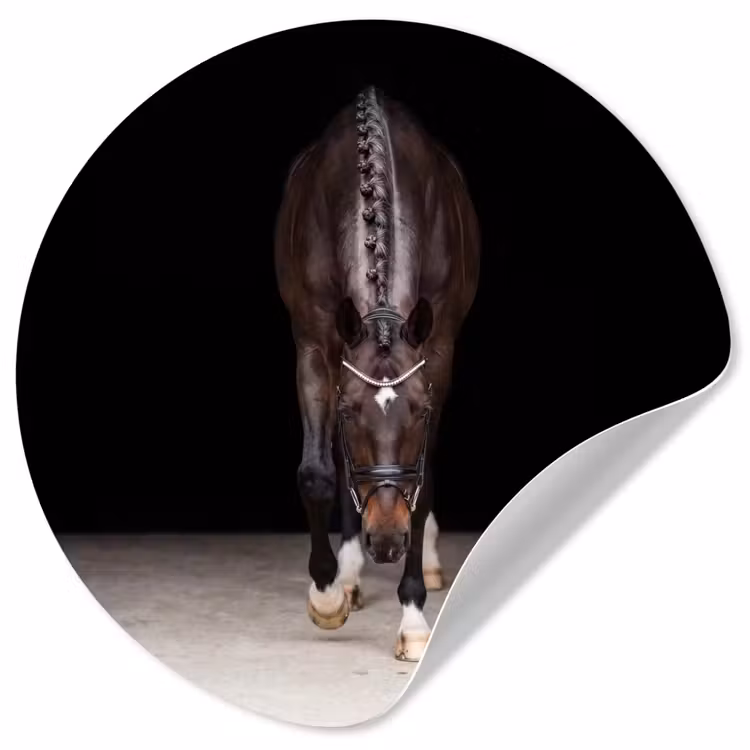Behangcirkel - Paard - Modern - Portret — 1