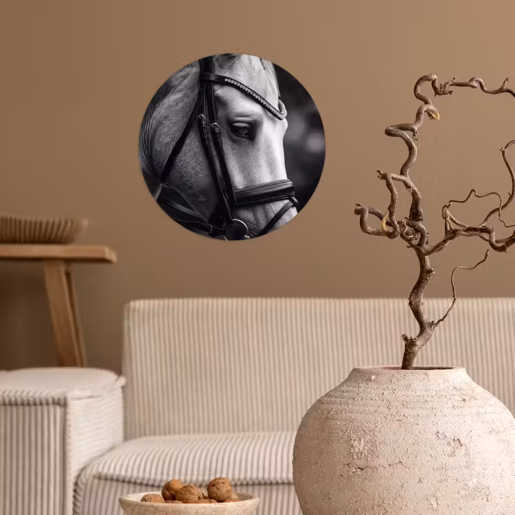 Behangcirkel - Paard - Schimmel - Portret — 2
