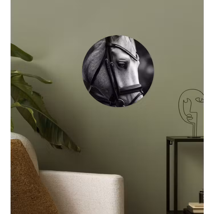 Behangcirkel - Paard - Schimmel - Portret — 3