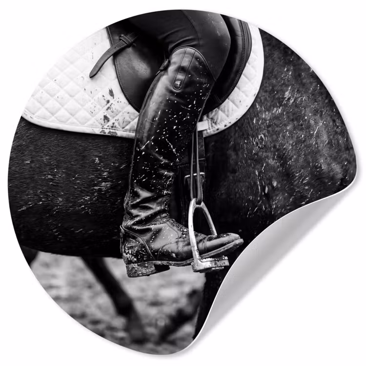 Behangcirkel - Paard - Sport - Zwart - Wit — 1