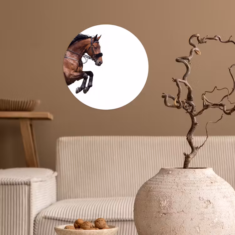 Behangcirkel - Paard - Springen - Modern — 2
