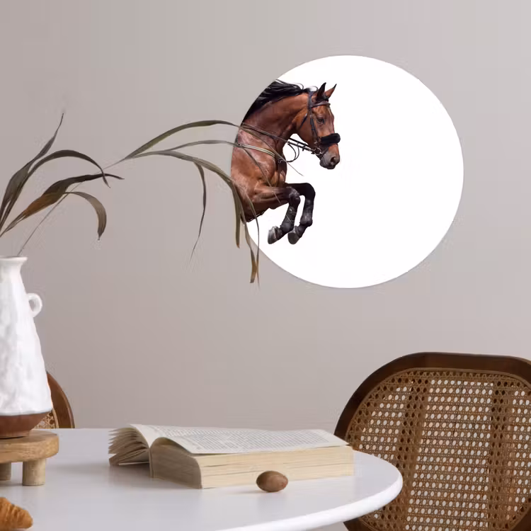 Behangcirkel - Paard - Springen - Modern — 4