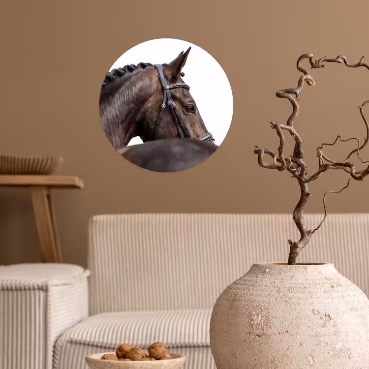 Behangcirkel - Portret - Paard - Elegant — 2