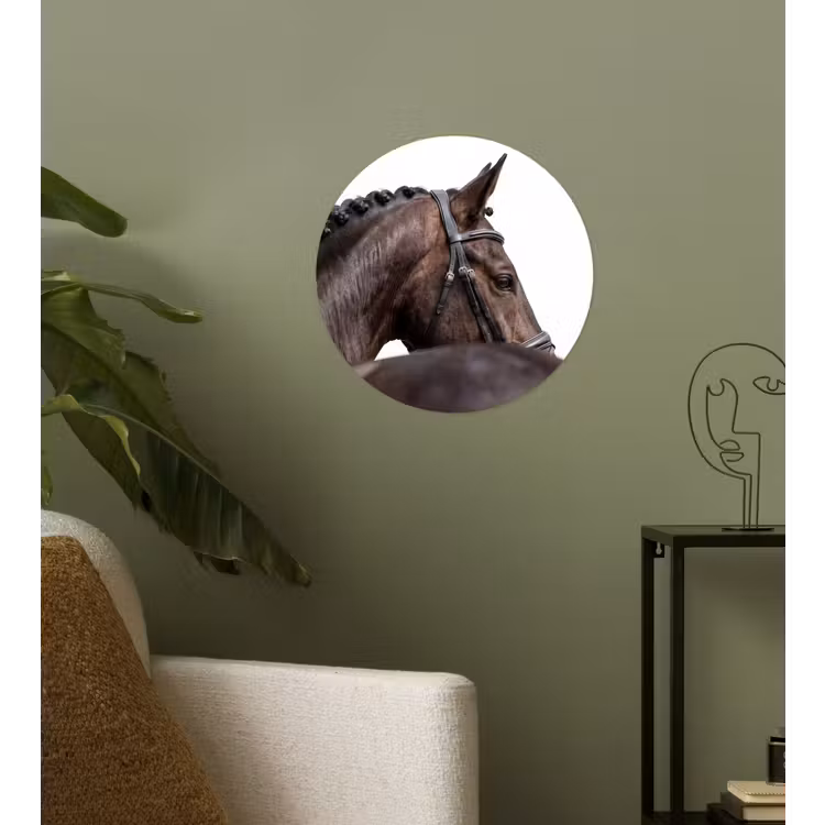 Behangcirkel - Portret - Paard - Elegant — 3