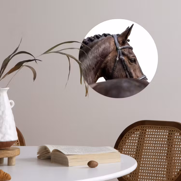Behangcirkel - Portret - Paard - Elegant — 4