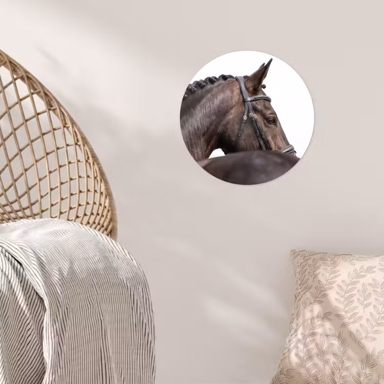 Behangcirkel - Portret - Paard - Elegant — 5