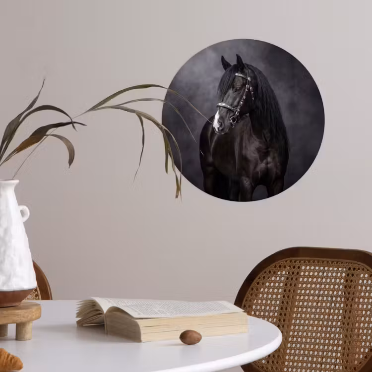 Behangcirkel - Portret - Paard - Zwart — 4