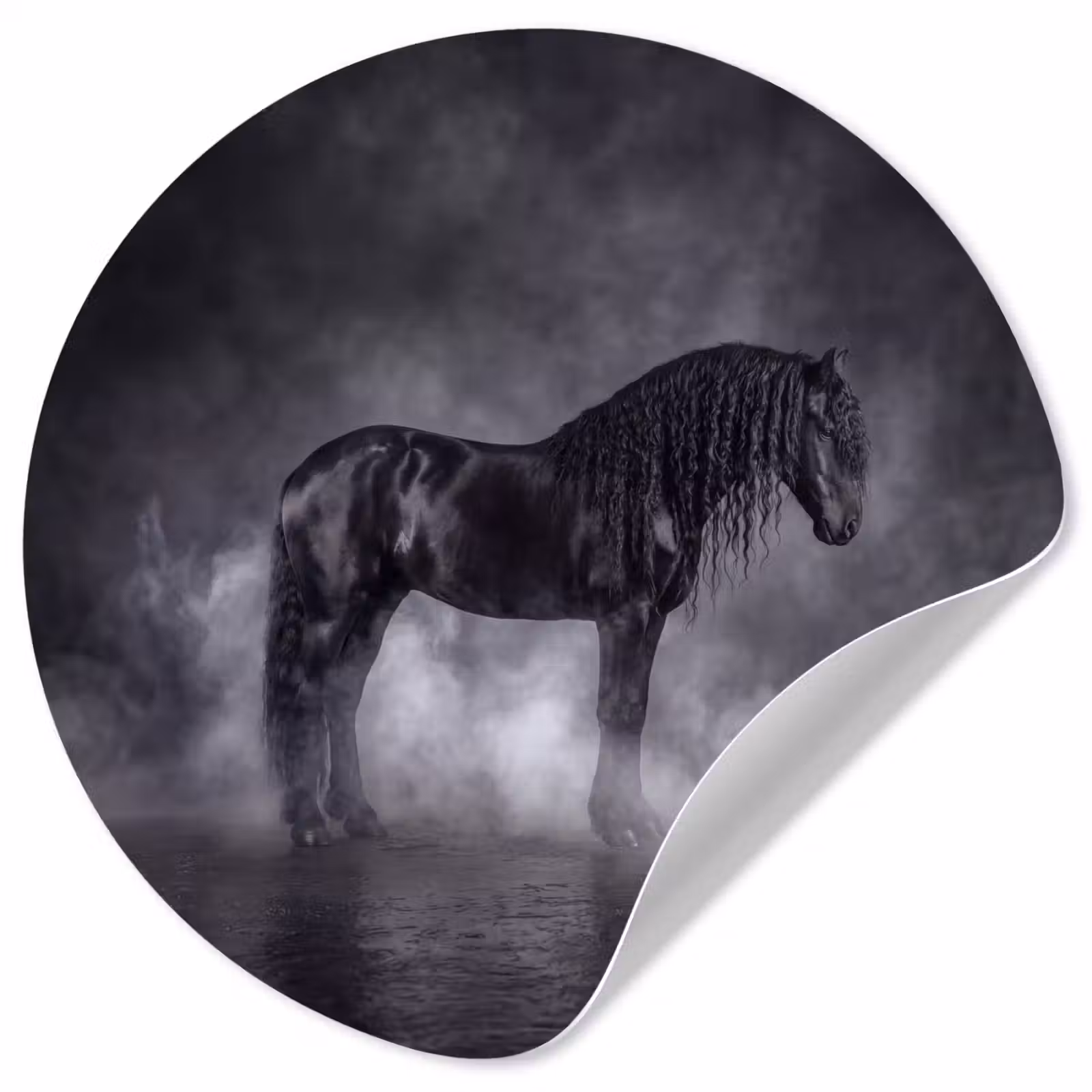 Behangcirkel - Paard - Magisch - Zwart — 1