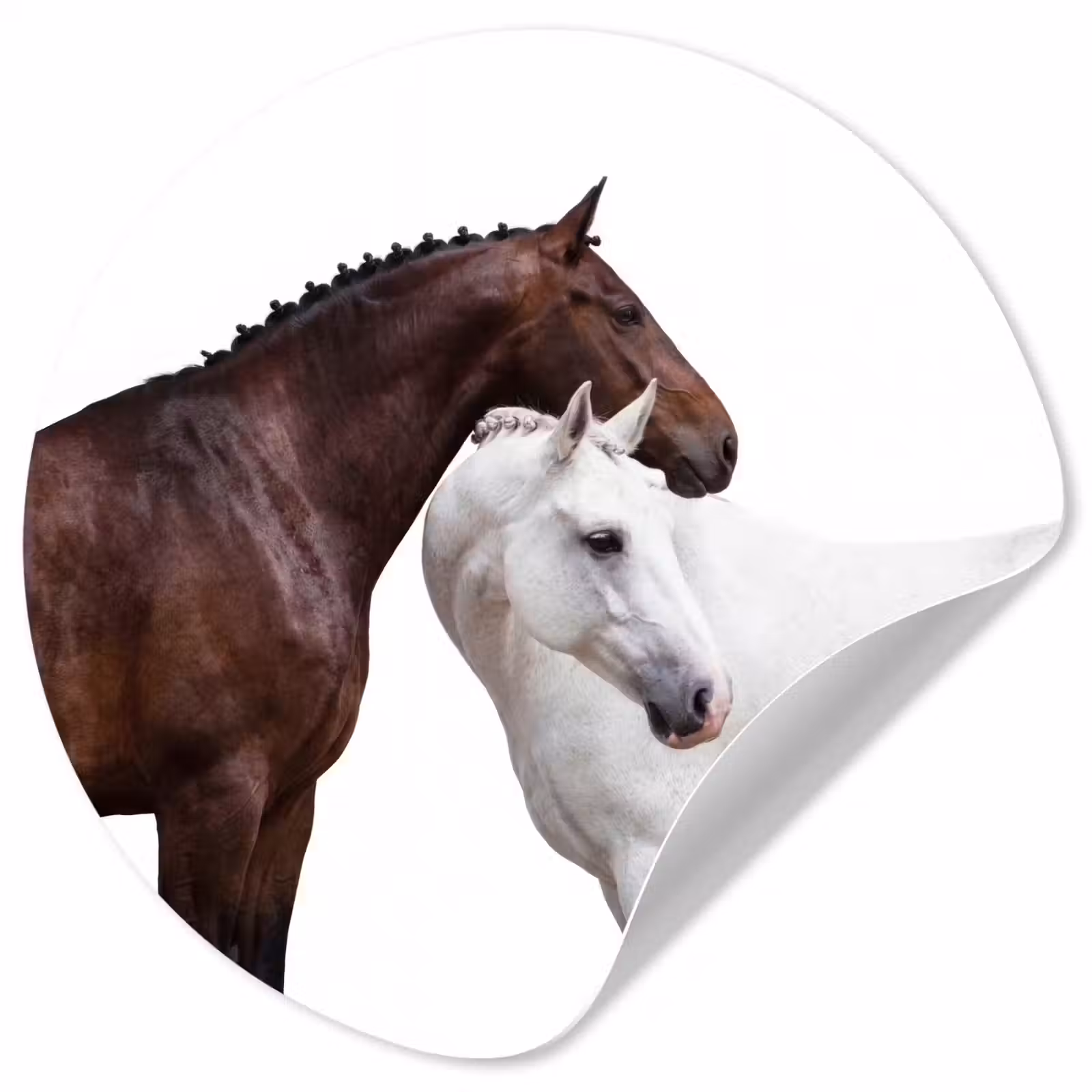 Behangcirkel - Paard - Modern - Balans — 1