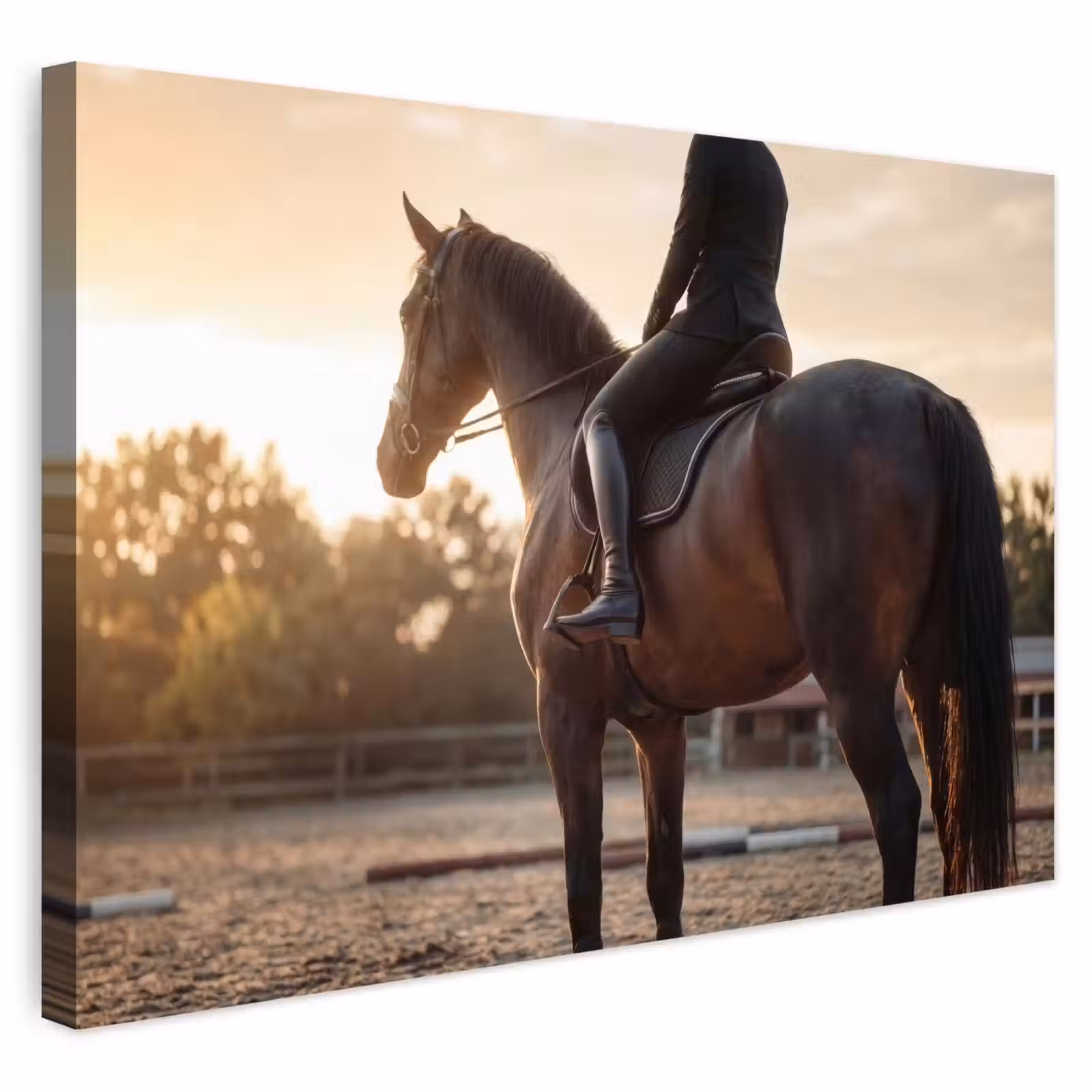 Buiten canvas - Harmonie - Ruiter - Zon — 1