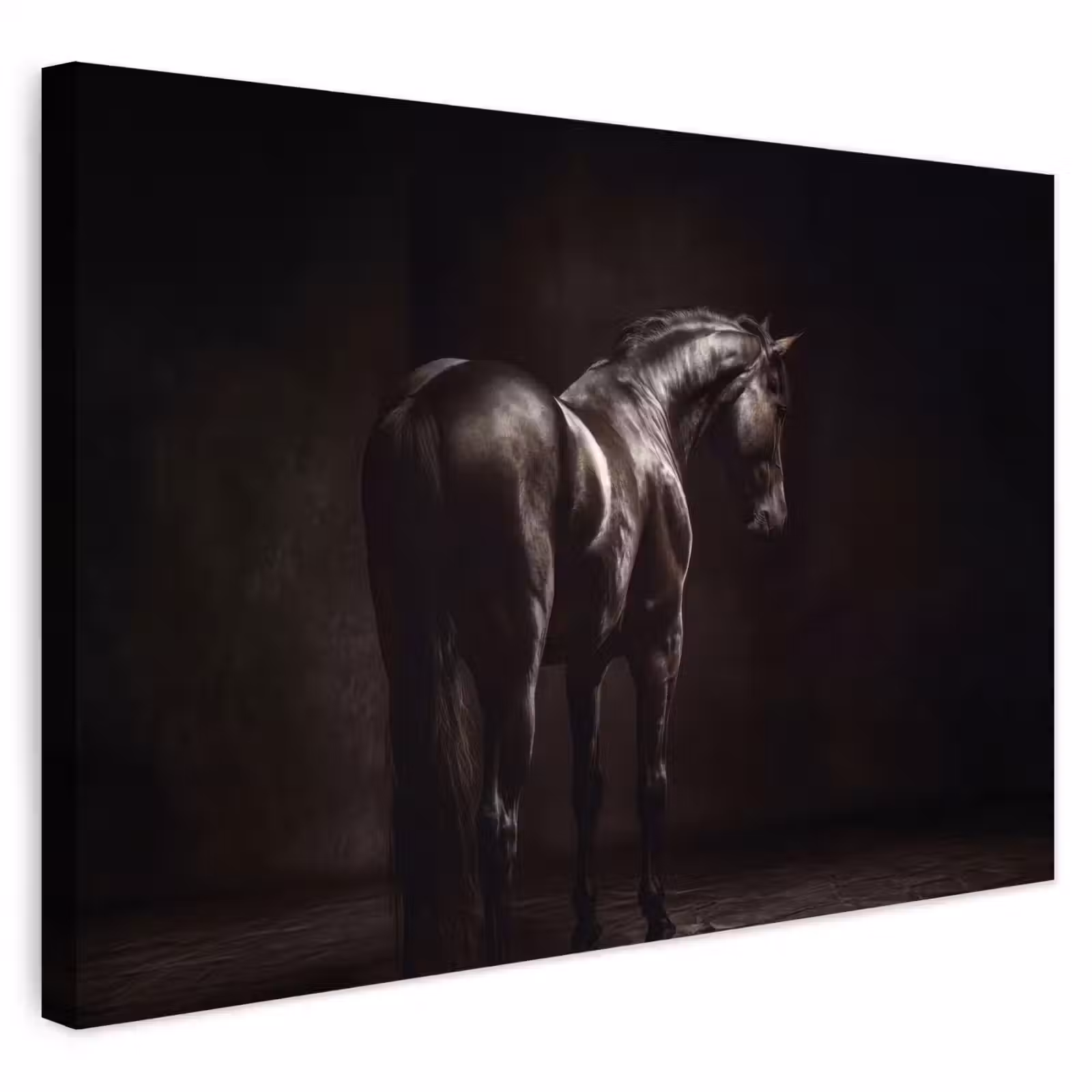 Buiten canvas - Krachtig - Paard - Donker — 1