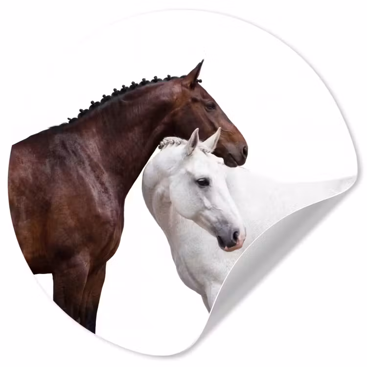 Behangcirkel - Paard - Modern - Balans — 1