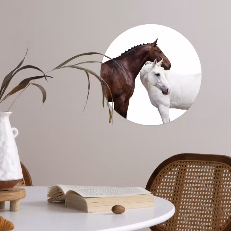 Behangcirkel - Paard - Modern - Balans — 4