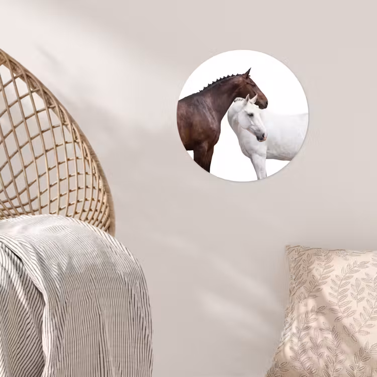 Behangcirkel - Paard - Modern - Balans — 5