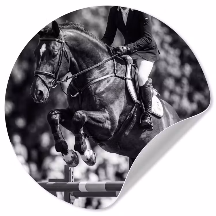 Behangcirkel - Springen - Paard - Zwart - Wit — 1