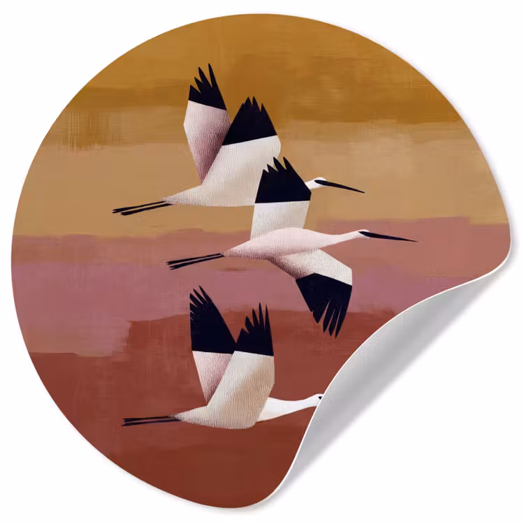 Behangcirkel - Vogels - Snavel - Abstract — 1