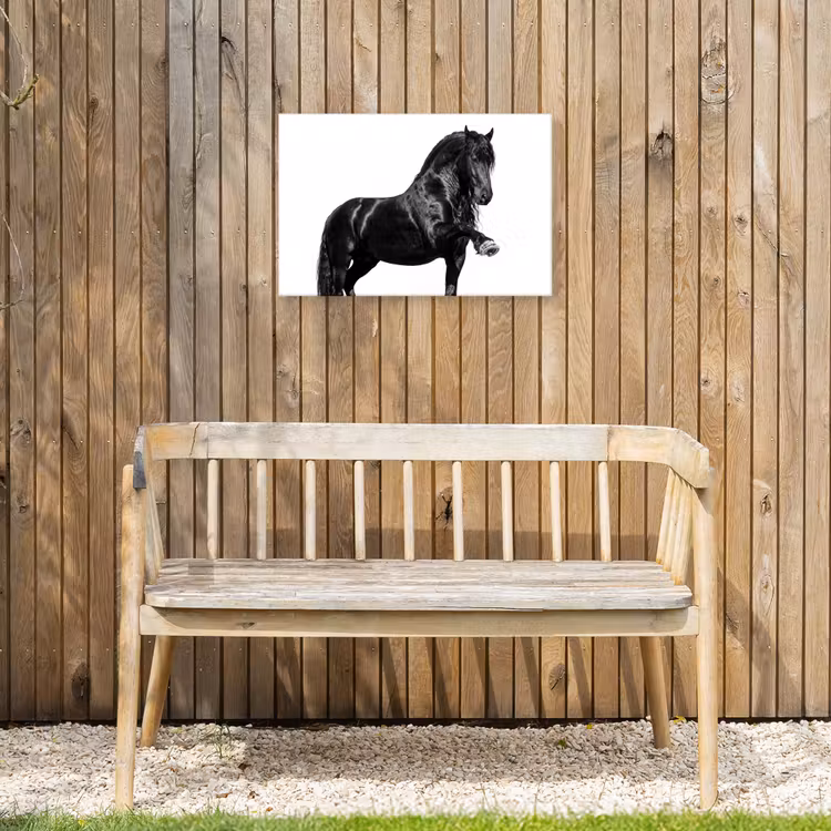 Buiten canvas - Fries - Hengst - Modern — 3