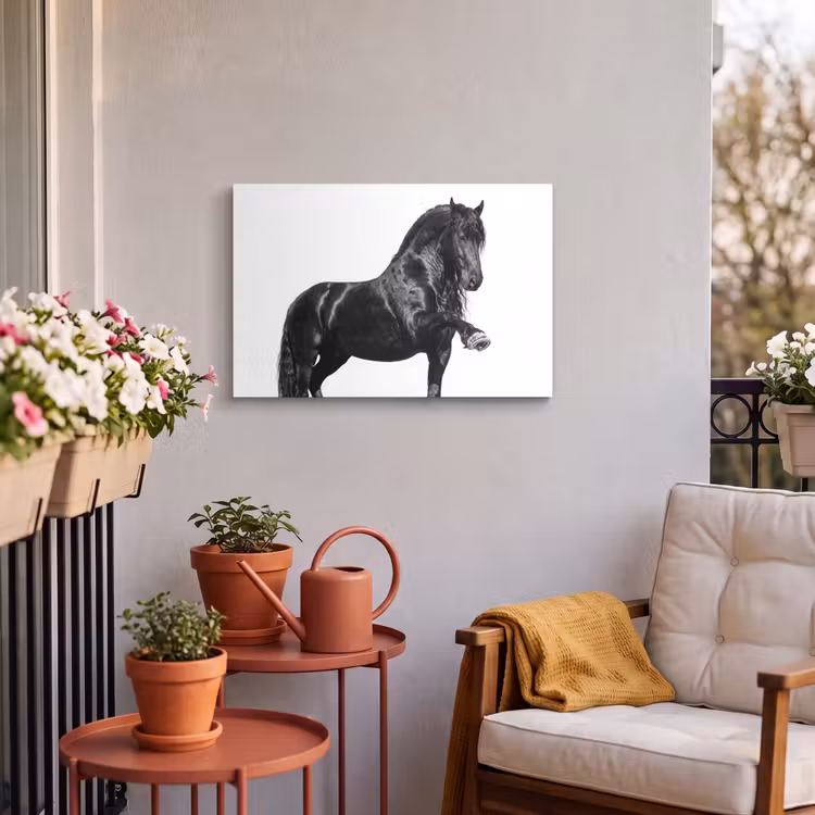Buiten canvas - Fries - Hengst - Modern — 4