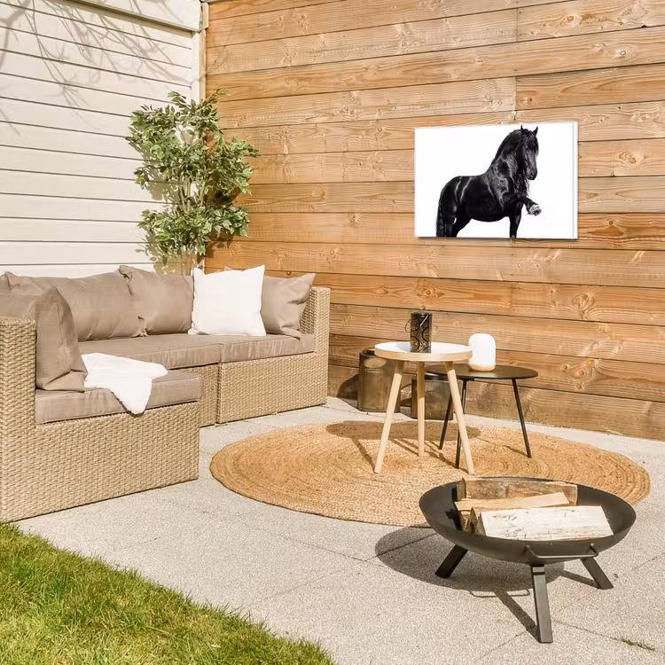 Buiten canvas - Fries - Hengst - Modern — 5