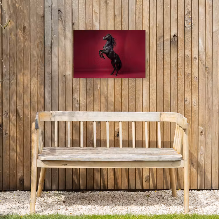 Buiten canvas - Hengst - Steigert - Rood — 3