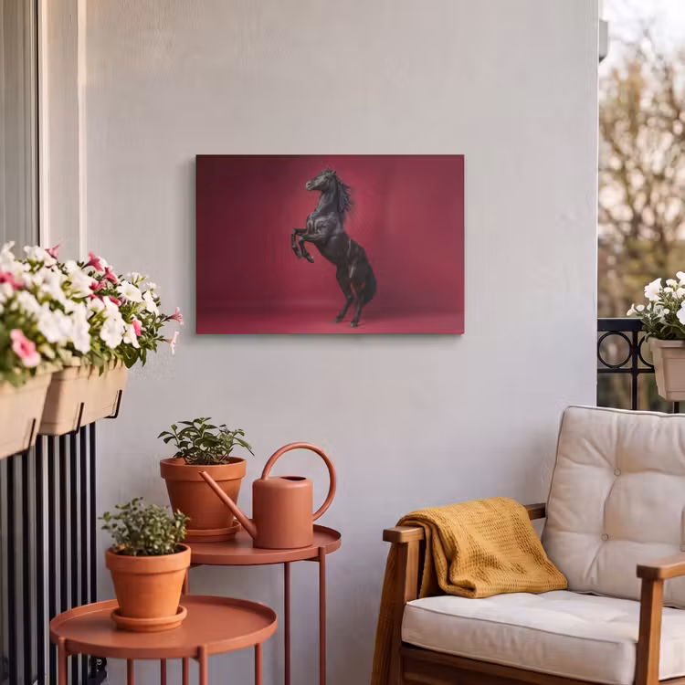 Buiten canvas - Hengst - Steigert - Rood — 4
