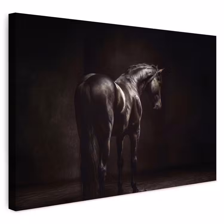 Buiten canvas - Krachtig - Paard - Donker — 1