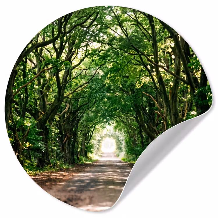 Behangcirkel - Weg - Bomen - Natuur - Groen — 1