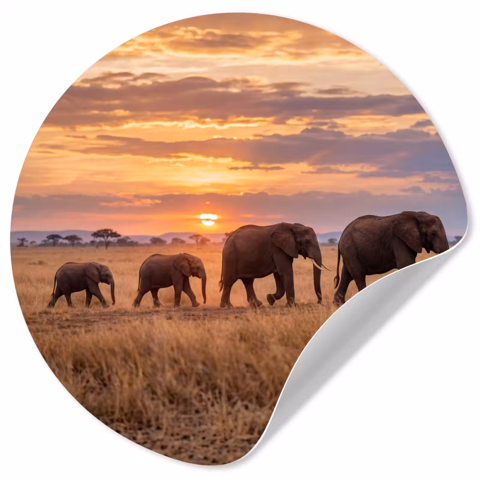 Behangcirkel - Olifanten - Savanne - Zonsondergang - Afrika - Warm — 1