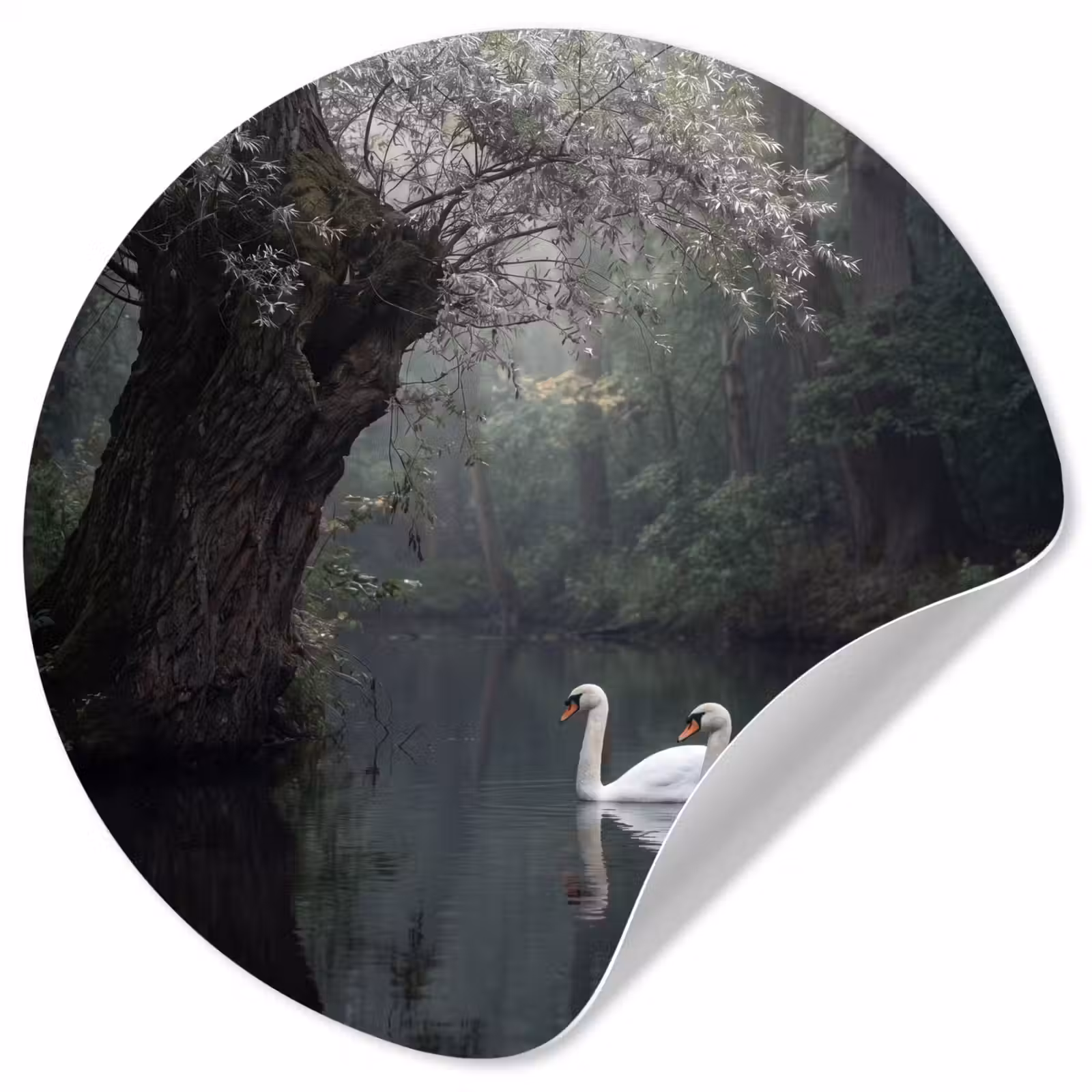 Behangcirkel - Zwanen - Rivier - Bos — 1