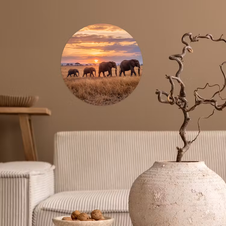 Behangcirkel - Olifanten - Savanne - Zonsondergang - Afrika - Warm — 2