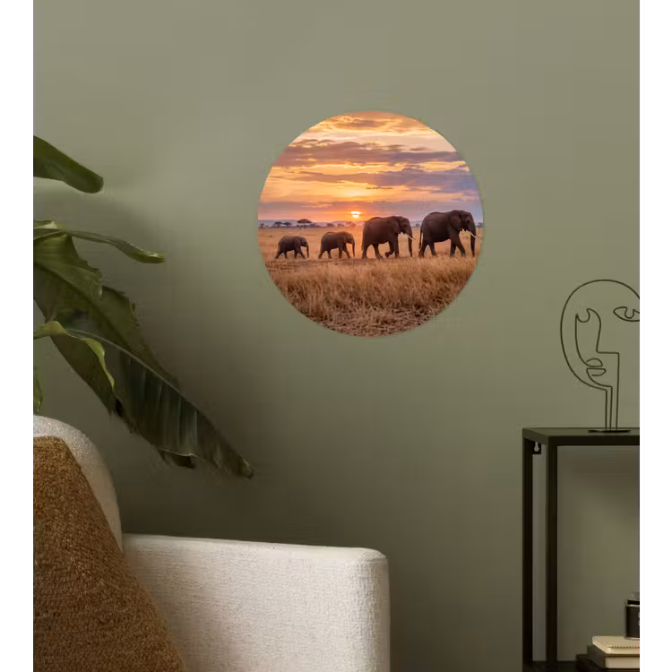 Behangcirkel - Olifanten - Savanne - Zonsondergang - Afrika - Warm — 3