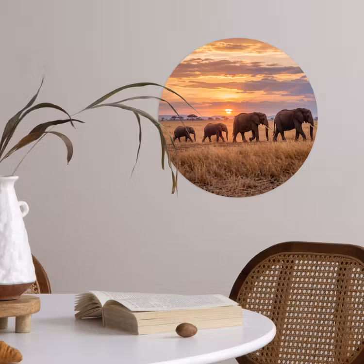 Behangcirkel - Olifanten - Savanne - Zonsondergang - Afrika - Warm — 4