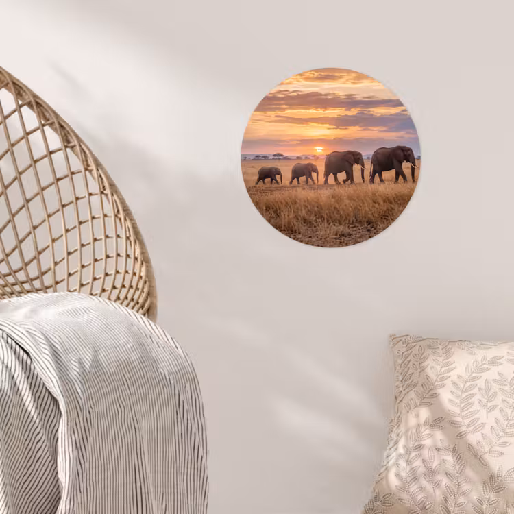 Behangcirkel - Olifanten - Savanne - Zonsondergang - Afrika - Warm — 5