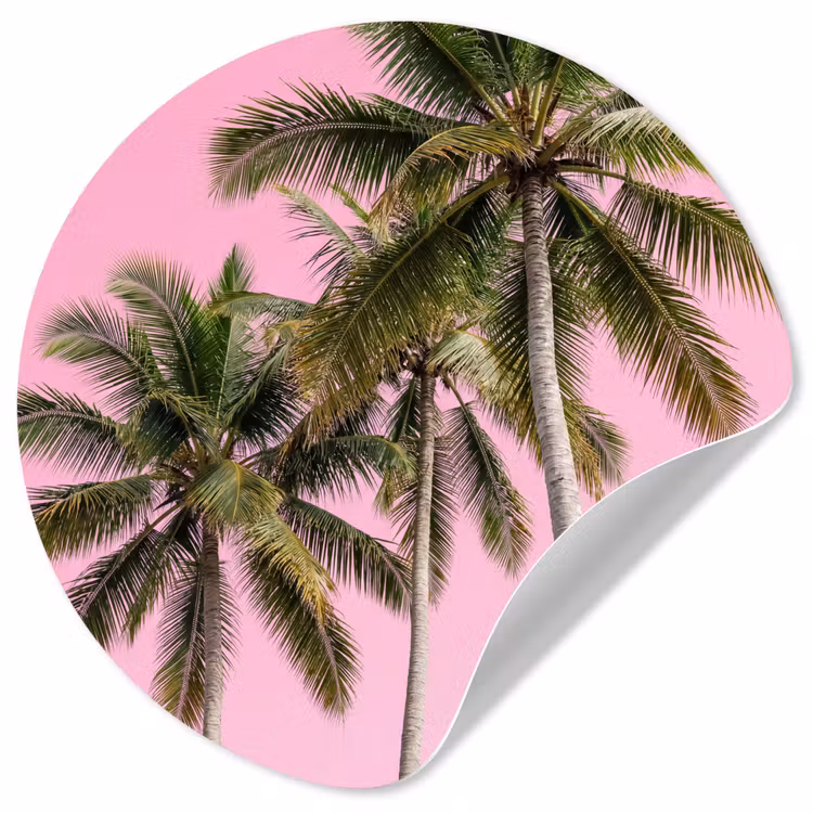 Behangcirkel - Palmboom - Tropisch - Pink — 1